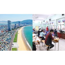Địa chỉ, Số điện thoại Trung tâm dịch vụ việc làm Bình Định cập nhật