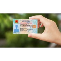 Cách tra cứu bằng lái xe trên thẻ Căn cước đơn giản, nhanh chóng