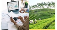 Ai bổ nhiệm kế toán Quỹ Hỗ trợ phát triển sinh kế vì cộng đồng?