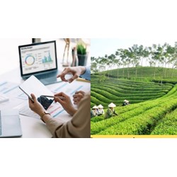 Ai bổ nhiệm kế toán Quỹ Hỗ trợ phát triển sinh kế vì cộng đồng?