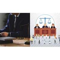Trưởng chi nhánh Văn phòng luật có được đứng tên thành lập một tổ chức hành nghề luật sư khác
