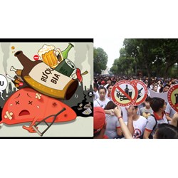 Chính sách của nhà nước trong phòng chống tác hại của rượu bia