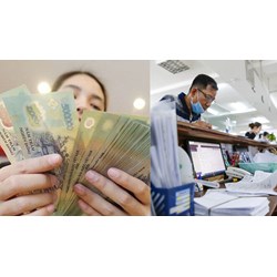 Hệ số lương viên chức áp dụng với biên dịch viên hạng 3