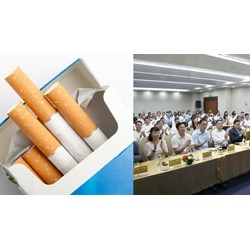 Trách nhiệm của Chủ tịch Hội đồng thành viên VINATABA thế nào?