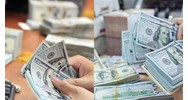 Hồ sơ đề nghị chấp thuận hoạt động ngoại hối gồm những gì?