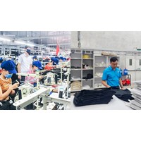 Quyền của cán bộ công đoàn cơ sở trong quan hệ lao động thế nào?