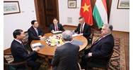 Hội Hữu nghị Việt Nam Hungary hoạt động hướng đến mục đích gì?