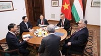 Hội Hữu nghị Việt Nam Hungary hoạt động hướng đến mục đích gì?