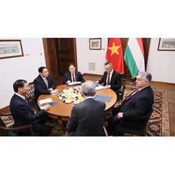 Hội Hữu nghị Việt Nam Hungary hoạt động hướng đến mục đích gì?