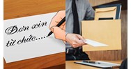 Quy trình xem xét từ chức với người đại diện phần vốn nhà nước