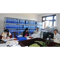 Bảng lương công chức văn thư cập nhật mới nhất 2024