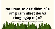 Nêu một số đặc điểm của rừng rậm nhiệt đới và rừng ngập mặn?