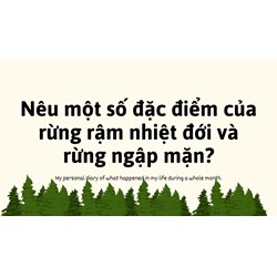 Nêu một số đặc điểm của rừng rậm nhiệt đới và rừng ngập mặn?