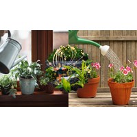 Viết bài văn hướng sử dụng một cái bình tưới cây siêu hay