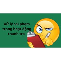 Quy định xử lý sai phạm trong hoạt động thanh tra mới nhất