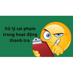 Quy định xử lý sai phạm trong hoạt động thanh tra mới nhất
