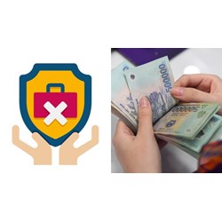 Cá nhân có được tiếp tục hưởng trợ cấp thất nghiệp khi thành lập hộ kinh doanh nhưng chưa kinh doanh không?