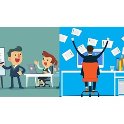 Thời điểm đơn vị sự nghiệp công lập phải nộp báo cáo tài chính