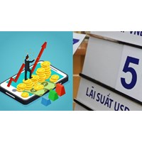 Cách tính lãi suất khi hợp đồng vay đến hạn nhưng bên vay không trả hoặc trả không đủ?