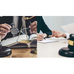 Nội dung của kết luận giám định hoạt động thanh tra gồm những gì?