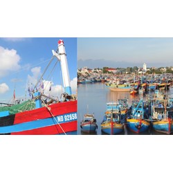 Xử lý thế nào khi không thực hiện việc trực ca đối với tàu thuyền hoạt động tại cảng biển