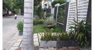 Hành vi trồng cây trên vỉa hè sẽ bị xử phạt hành chính như thế nào?