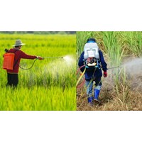 Những loại thuốc diệt cỏ nào phải chịu thuế bảo vệ môi trường?