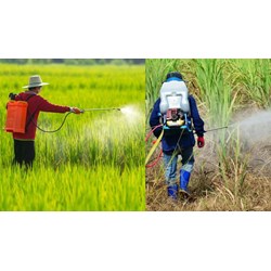 Những loại thuốc diệt cỏ nào phải chịu thuế bảo vệ môi trường?