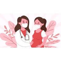 Hồ sơ hưởng chế độ thai sản cần phải nộp cho công ty gồm các giấy tờ gì?