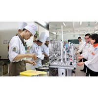 Quyền của lao động đánh giá, cấp chứng chỉ kỹ năng nghề quốc gia?