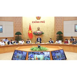 Tổ tư vấn kinh tế của Thủ tướng thực hiện nhiệm vụ quyền hạn nào?