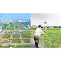 Hoạt động thống kê và kiểm kê đất đai theo Luật Đất đai năm 2024?