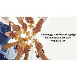 Hội đồng giải thể doanh nghiệp do Nhà nước nắm 100% vốn điều lệ?