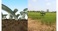 Thuê đất Nhà nước trả tiền hàng năm được cho doanh nghiệp khác thuê lại?