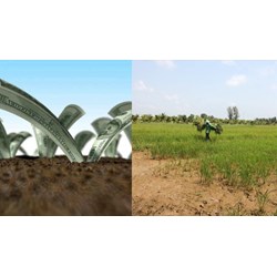Thuê đất Nhà nước trả tiền hàng năm được cho doanh nghiệp khác thuê lại?