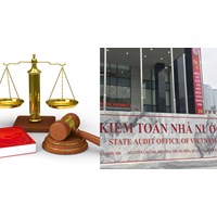 Cưỡng chế thi hành quyết định xử phạt trong kiểm toán nhà nước?