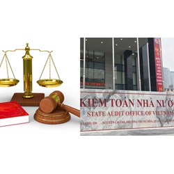 Cưỡng chế thi hành quyết định xử phạt trong kiểm toán nhà nước?