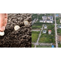 Người gốc Việt định cư ở nước ngoài được cho thuê đất thu tiền hằng năm?