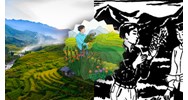 Ghi lại cảm nghĩ của mình sau cuộc gặp gỡ bất ngờ với anh thanh niên