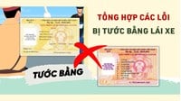 Các lỗi vi phạm giao thông bị tước giấy phép lái xe máy 2025