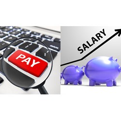 Công ty được chậm trả lương nhân viên trong trường hợp nào?