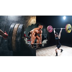 Tả một lực sĩ đang cử tạ chọn lọc hay nhất