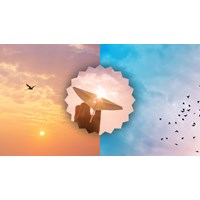 Suy nghĩ về câu danh ngôn Ước mơ và hi vọng giống như loài chim