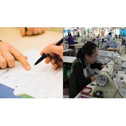 Loại hợp đồng nào người lao động cao tuổi có thể giao kết?