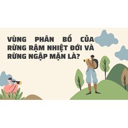 Vùng phân bố của rừng rậm nhiệt đới và rừng ngập mặn là?