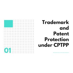 Important note on Trademark and Patent Protection under the CPTPP
