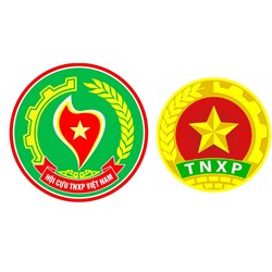 Mục đích của Hội Cựu thanh niên xung phong Việt Nam là gì?