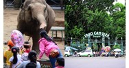 Những trường hợp nào được miễn, giảm giá vé khi vào Thảo Cầm Viên?