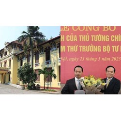 Nguyên tắc phân công công tác Bộ Trưởng Bộ Tư pháp và các Thứ trưởng