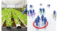 Thực hiện quy trình bổ sung thành viên tổ hợp tác thế nào?